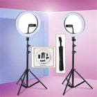 10-Inch LED Ring Light with Adjustable Tripod Stand & Phone Holder